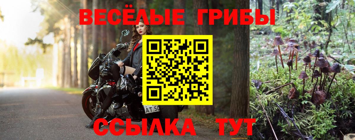 Псилоцибиновые грибы ЛСД Рузаевка